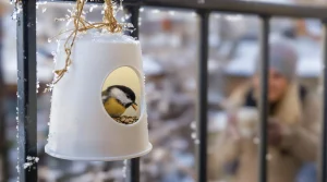 Arrêtez de jeter ce pot en plastique : les oiseaux en raffolent surtout en hiver