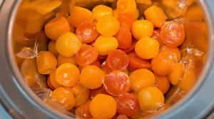 Fin de saison des poireaux : comment bien les congeler et les décongeler pour prolonger le plaisir