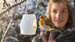 Arrêtez de jeter ce petit pot en plastique : il devient la mangeoire préférée des oiseaux cet hiver