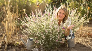Elle survit aux canicules sans arrosage et attire les papillons : quand planter cette fleur du jardin ?