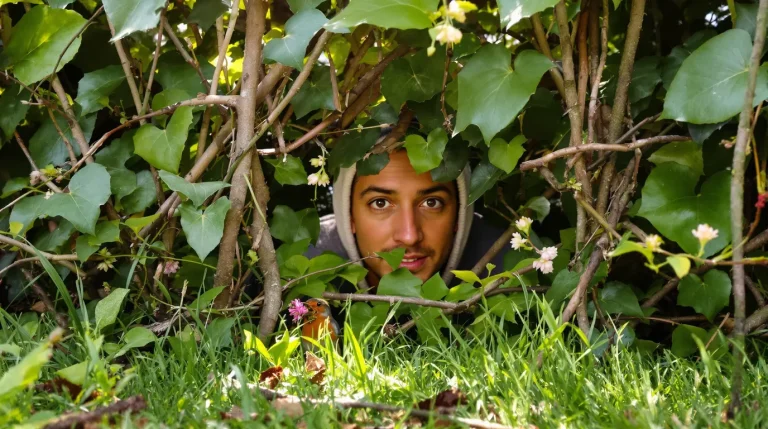 J’ai changé une seule chose dans mon jardin : depuis, les oiseaux nichent chaque printemps J’ai changé une seule chose dans mon jardin : depuis, les oiseaux nichent chaque printemps