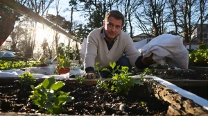 Jardinage : que planter au jardin avant les Saints de glace ? La réponse que beaucoup ignorent